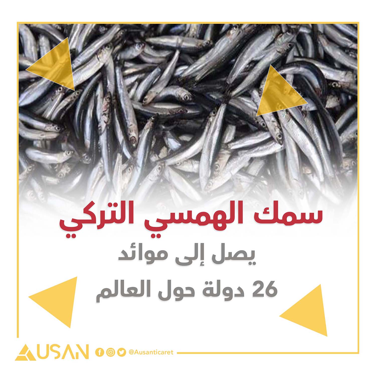 سمك الهمسي التركي يصل إلى موائد 26 دولة حول العالم